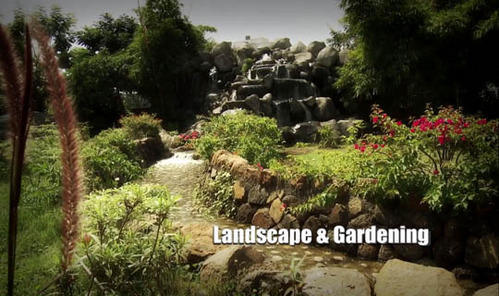 Landscape And Gardening