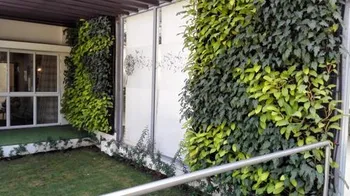 Vertical Garden Installation Services