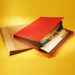 Paper Carrying File