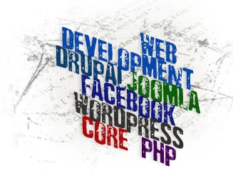 Web Development