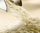 Non Basmati Rice