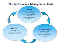 Performance And Compensation Management