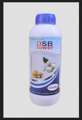 Curalive Bio Fertilizers PSB-Power