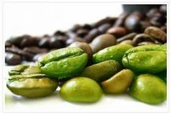 Green Coffee Bean