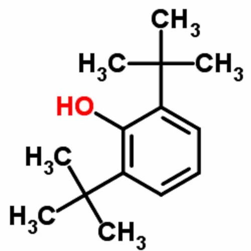 2,6 Di Tert Butylphenol (2,6-DTBP)