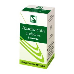 Azadirachta indica 1X