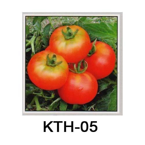 Hybrid Tomato Seeds