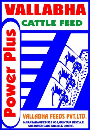 Cattle Feeds