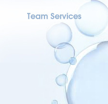 Dedicated Team Services