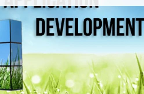 Development Solutions Service