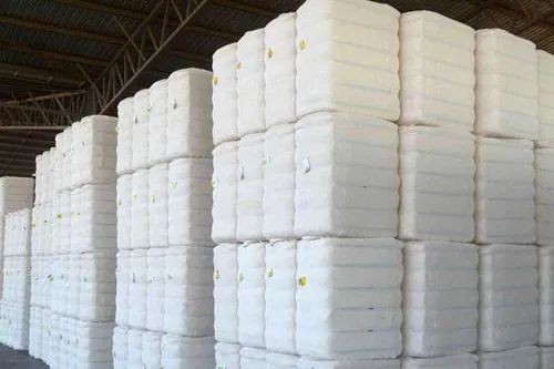 Raw Cotton Bales