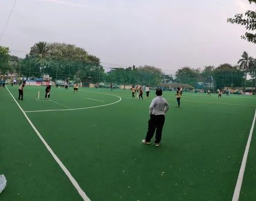 Artificial Cricket Pitch