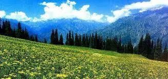 Kashmir Gulmarg,Sonmarg and Phalgaum Tour Package Service