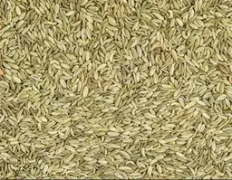 Fennel Seeds