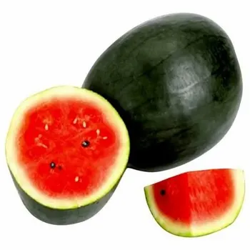 A Grade Watermelon, Packaging Type: Pp bags, Packaging Size: Loose