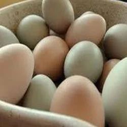 Poultry Table Eggs