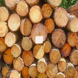 SYP Pine Round Logs