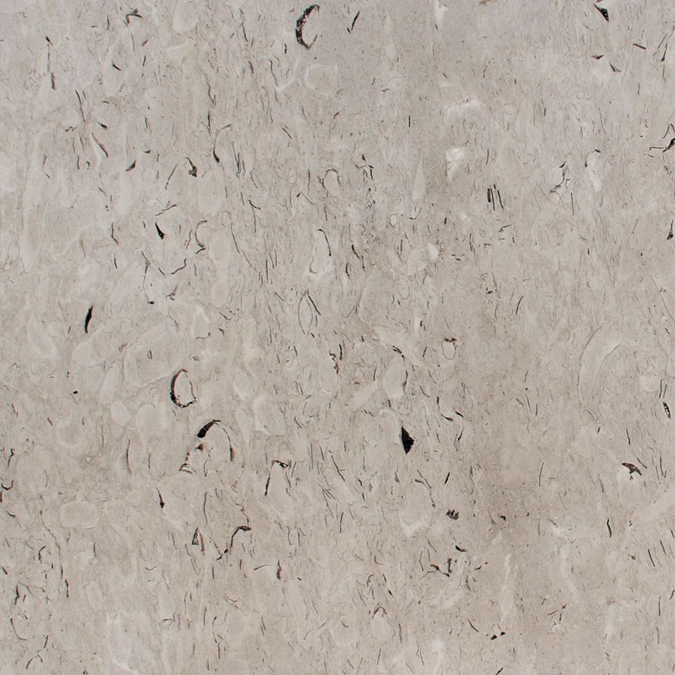 Grey Fossil Marble, for Flooring