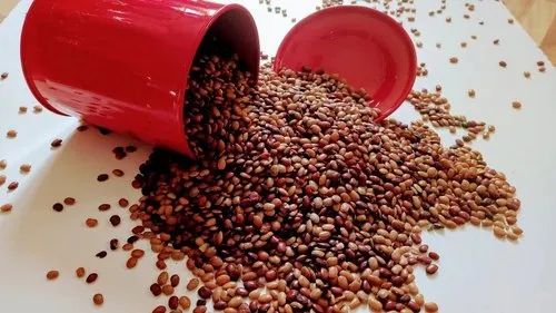 Seeds Kulthi Naturally Brown Horse Gram, High in Protein