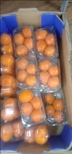 A Grade Oranges, Packaging Type: Carton