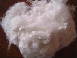 Unitech Fibres Pvt. Ltd Semi-Dull Raw White / Semi-OB / Natural Polyester Staple Fiber Solid