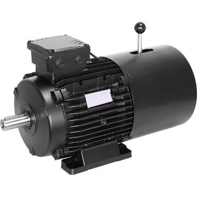 Three Phase Up To 2900 Brake Motor, 230 V