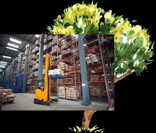 Processing And Warehousing Service
