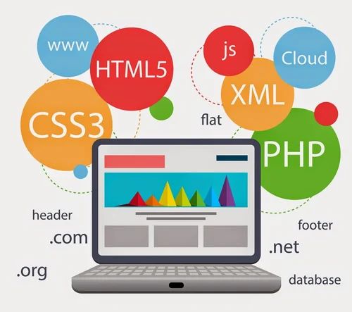 Web Software Script Development Service