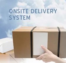 Onsite Delivery Model