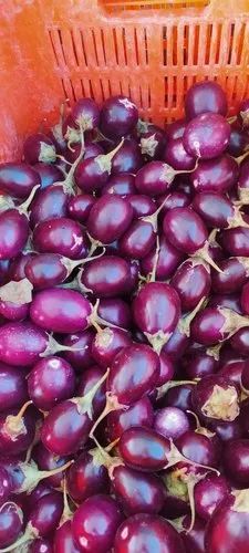 A Grade Organic Brinjal, 20 Kg, Pesticide Free  (for Raw Products)