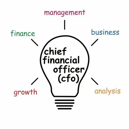 Virtual CFO Statutory Management Services