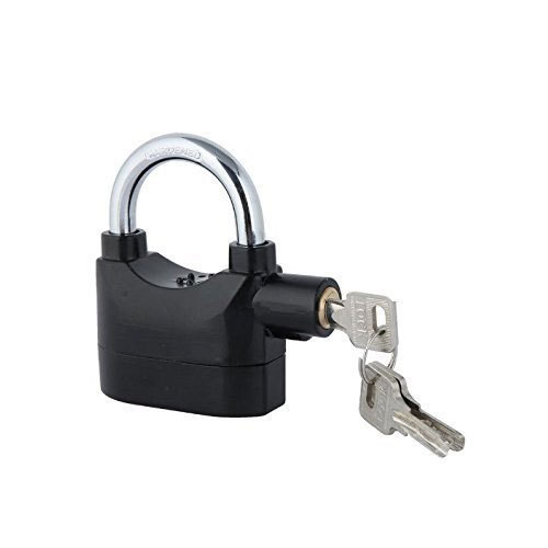 Anti Theft Alarm Lock, Polished