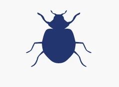 Bed Bug Pest Control