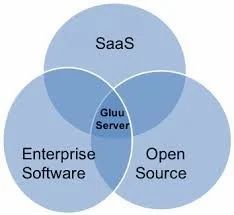 Enterprise Saas Application Development
