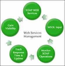 Management Monitoring Services