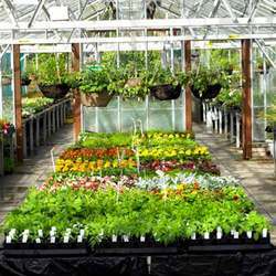 Horticulture Services