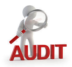 Intellectual Property Consulting and Audit