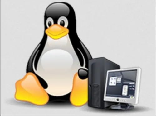 Linux System Administration Services