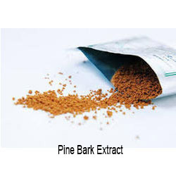 Pine Bark Extract