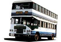 Buses (double Decker)