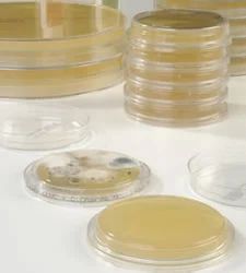 Microbiological Monitoring Services