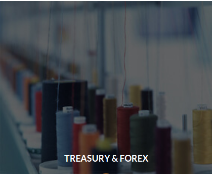 Treasury And Forex