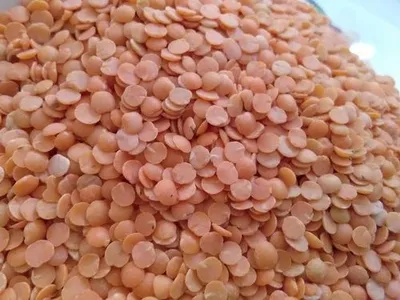 Indian Masoor Dal, Gluten Free And No Artificial Flavour