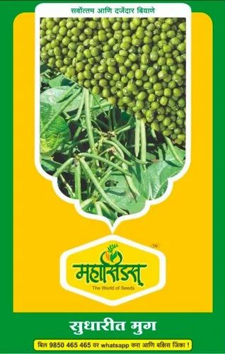 MahaSeeds Natural Green Gram Seeds, Packaging Type: PP Bag, Packaging Size: 2 kg