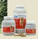 In Supplement For Dogs