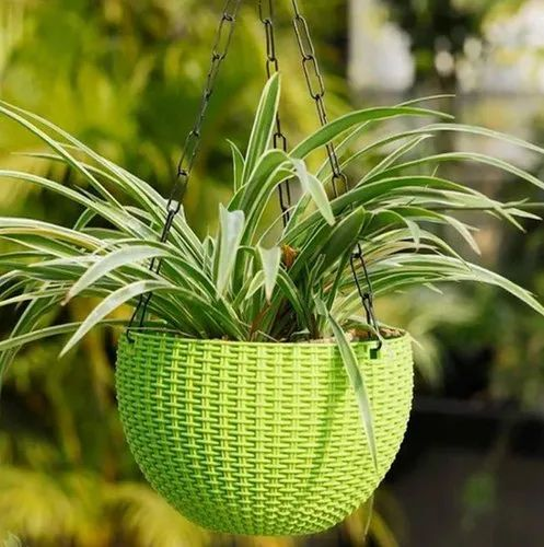 30mm Green Plastic Hanging Pot, For Plantation, Size: 5.5*3 Inch (l*w)