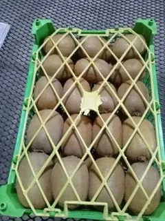 A Grade Fresh Kiwi (Iran), Packaging Size: 10 Kg