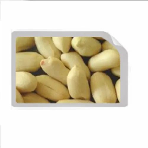 Blanched Peanuts