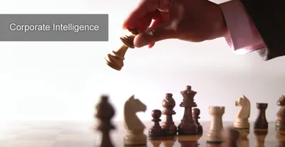 Corporate Intelligence Services