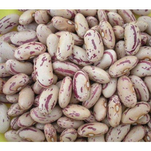 Indian White Kidney Bean, Speciality:High In Protein